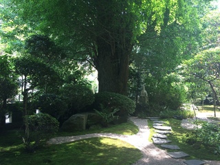 2015-05-28 12.42.34.jpg