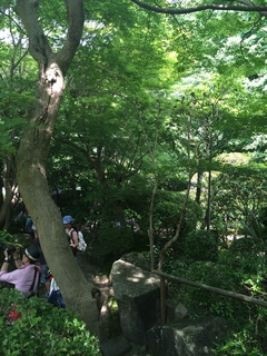 2015-05-28 12.54.22.jpg