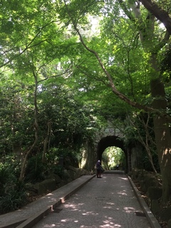 2015-05-28 10.14.20.jpg