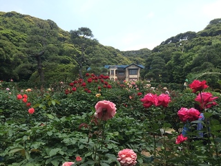 2015-05-28 10.19.45.jpg
