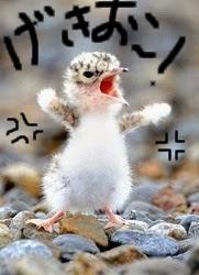 gekioko hanko.jpg